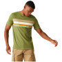 Herren-T-Shirt Regatta Rayonner