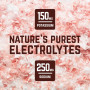 Protein Veloforte Nova