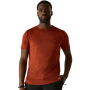 Herren-T-Shirt Regatta Fingal Edition