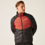 Herrenjacke Regatta Dalent
