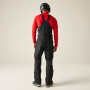 Herrenhose Dare 2b Twin Tip Bibbed Pant
