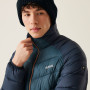 Herrenjacke Regatta Dalent