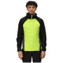 Herren-Winterjacke Regatta Andreson VII Hybrid