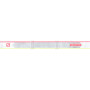 Skibrille Salomon Sense White Corail Neon