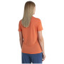 Damen-Funktionsshirt Icebreaker Women Merino Core SS Tee Plume
