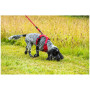 Hundegeschirr Mountain Paws Dog Harness