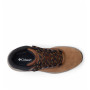 Herren Trekkingschuhe Columbia Newton Wander™