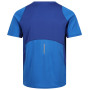 Herren-T-Shirt Regatta Virda IV