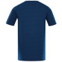 Herren T-Shirt Alpine Pro Bolen 2