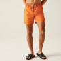 Herrenshorts Regatta Mackleyna Swim Short