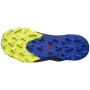 Herren Laufschuhe Salomon Thundercross Gore-Tex