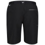 Herrenshorts Regatta Xert Stretch Shorts III