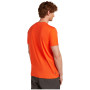 Herren T-Shirt Icebreaker Men Merino 150 Tech Lite Bear Tour