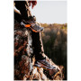 Wanderschuhe Salomon X Ultra 5 Gore-Tex