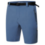 Herrenshorts Dare 2b Tuned In ProShort