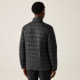 Herrenjacke Regatta Marizion