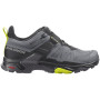 Wanderschuhe Salomon X Ultra 4 Gtx