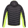 Herren-Winterjacke Regatta Harrock