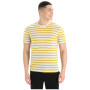 Herren-T-Shirt Icebreaker Drayden SS Tee Stripe