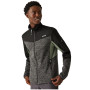 Herren-Sweatshirt Regatta Coladane VI