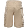 Herrenshorts Alpine Pro Urt