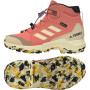 Kinderschuhe Adidas Terrex Mid Gtx K 2024