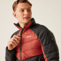 Herrenjacke Regatta Dalent