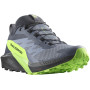 Herren Laufschuhe Salomon Sense Ride 5 Gore-Tex grau Flint Stone / Black / Green Gecko