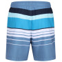 Herrenshorts Regatta Loras Swim Short m