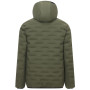 Herren-Steppjacke Regatta Astrel