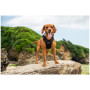Hundegeschirr Mountain Paws Dog Harness