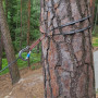 Hängematte Warg Goro Ultralight