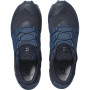 Herrenschuhe Salomon Wildcross GTX