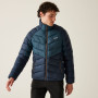 Herrenjacke Regatta Dalent