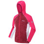 Damen-Sweatshirt Regatta Walbury rosa Dkceris/Spirit