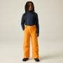 Kinder Skihose Dare 2b Outmove III Insulated Pant ElectricOrng