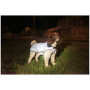 Regenmantel für Hunde Mountain Paws Reflective Fleece-Lined Dog Raincoat