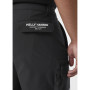 Herrenshorts Helly Hansen Move Qd Shorts