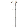 Trekkingstöcke Black Diamond Trail Cork Trekking Poles