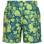 Herrenshorts Regatta Loras Swim Short m