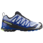 Herrenschuhe Salomon Xa Pro 3D V9 Icon
