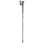 Trekkingstöcke Leki Makalu FX Carbon