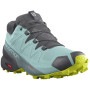 Damenschuhe Salomon Speedcross 5 GTX W