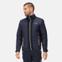 Herrenjacke Regatta Halton VII