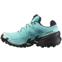 Damenschuhe Salomon Speedcross 6 Gore-Tex