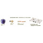 Campingkocher Meva Eagle Typ 2319B