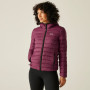 Damenjacke Regatta Women’s Hooded Marizion