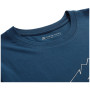 Herren T-Shirt Alpine Pro Bolen 2