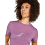Damen-T-Shirt Icebreaker W Mer 150 Tech Lite SS T South Const