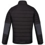 Herren-Winterjacke Regatta Halton VI